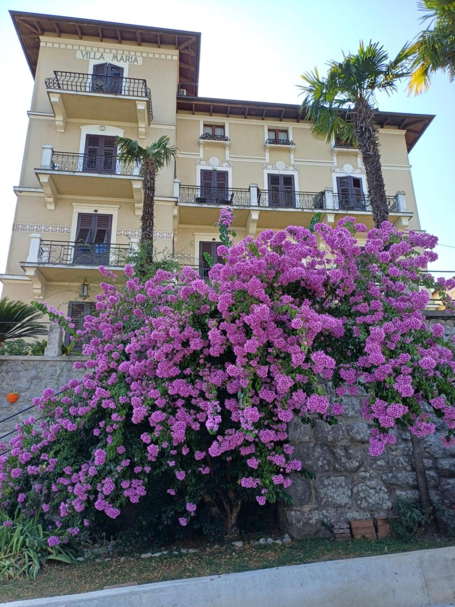 לובראן Villa Marija מראה חיצוני תמונה